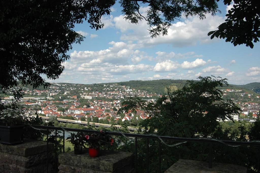 Schloss Neuburg Hotel Mosbach  Kültér fotó